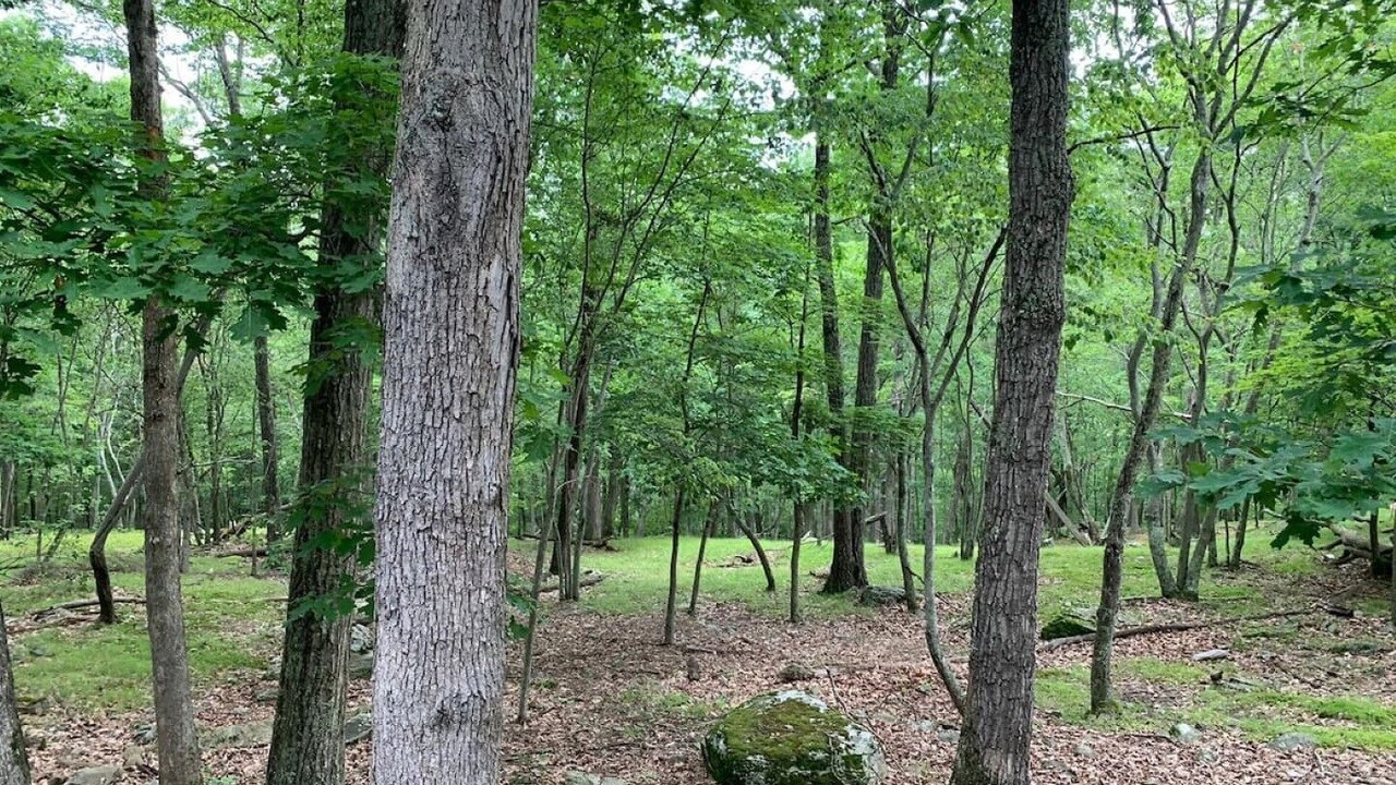 Photo of Others in Bushkill