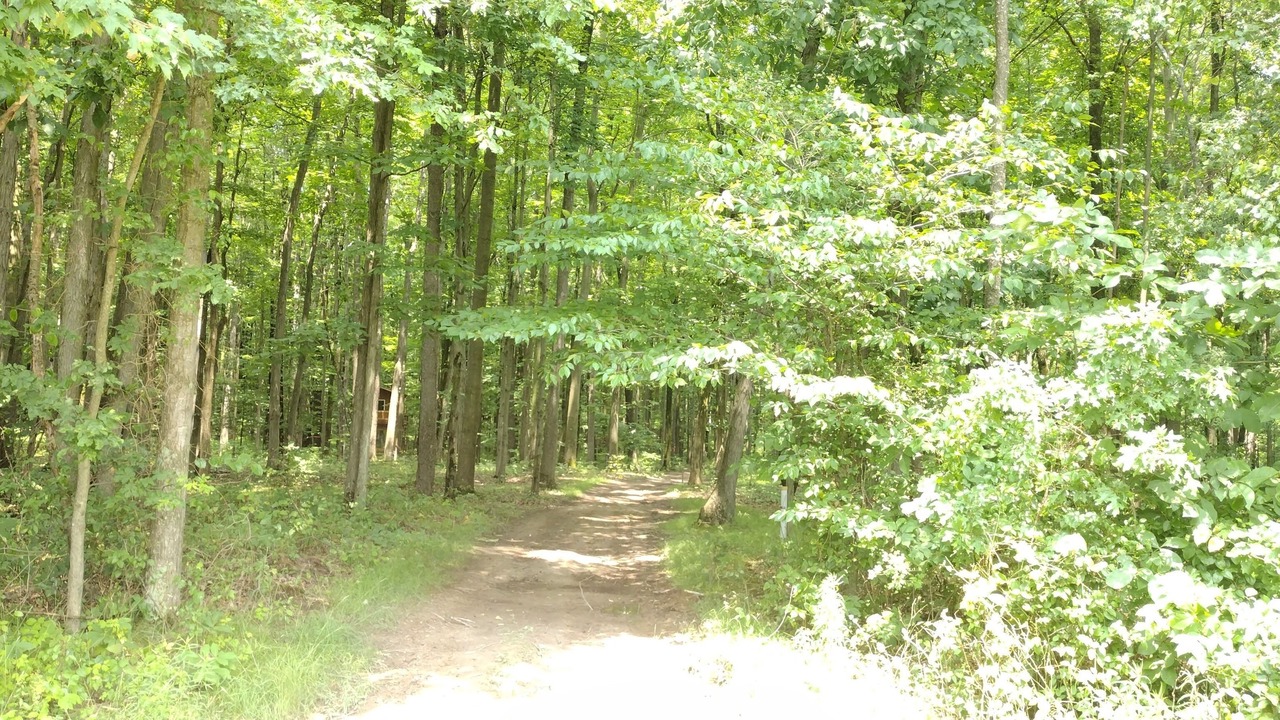 Photo of Others in Westford