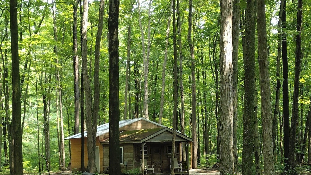 Photo of Outdoor in Westford