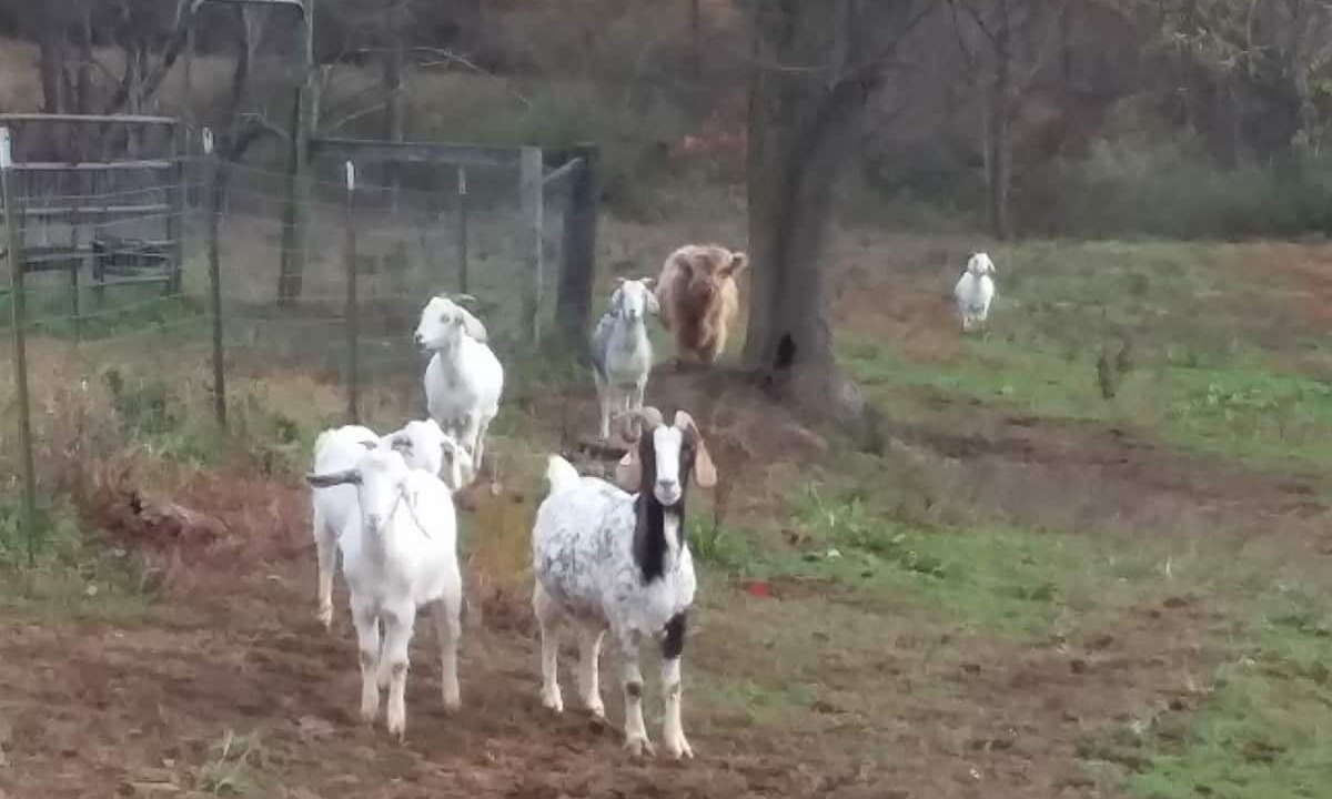 Photo of Others in Nelsonville