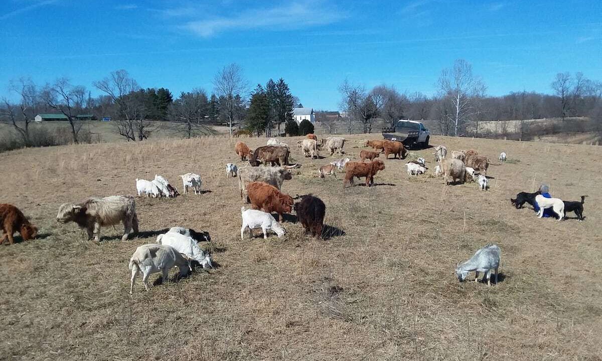 Photo of Others in Nelsonville