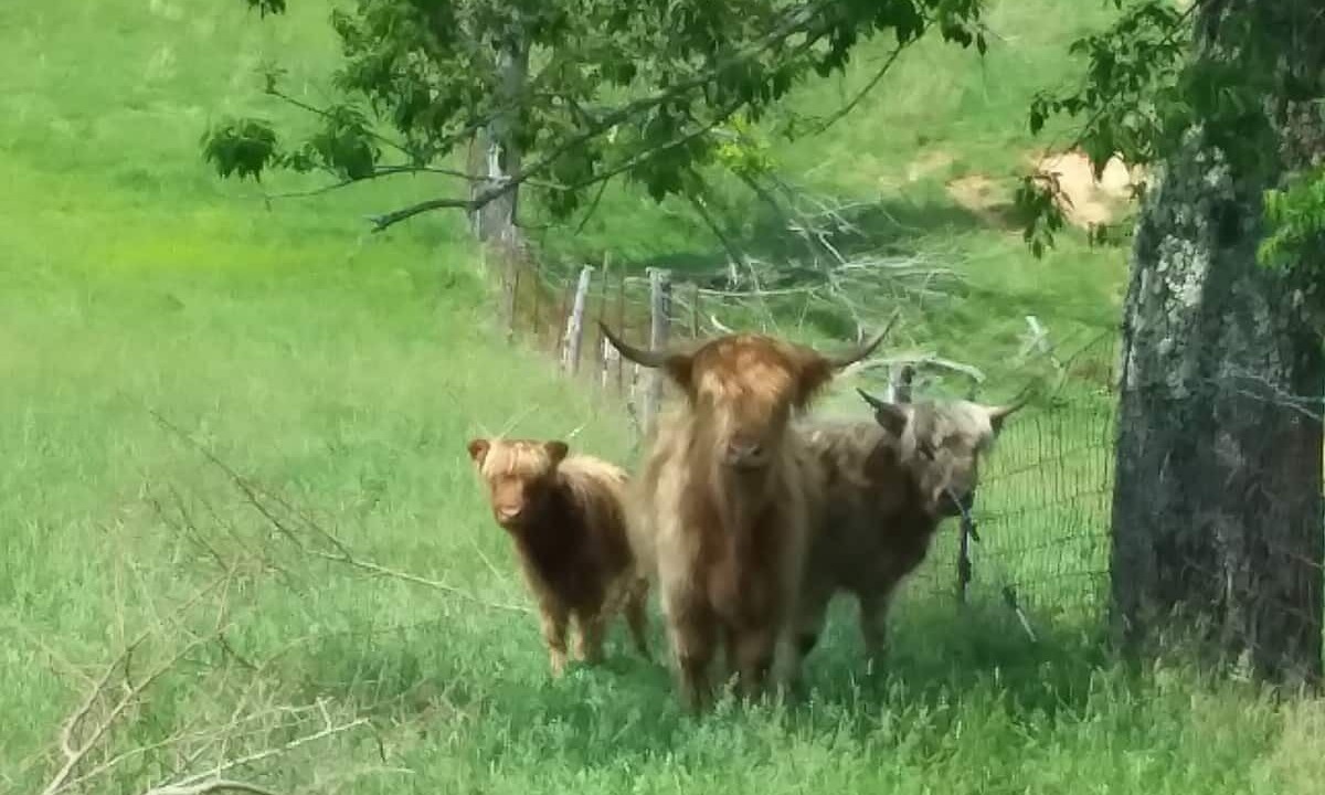 Photo of Outdoor in Nelsonville