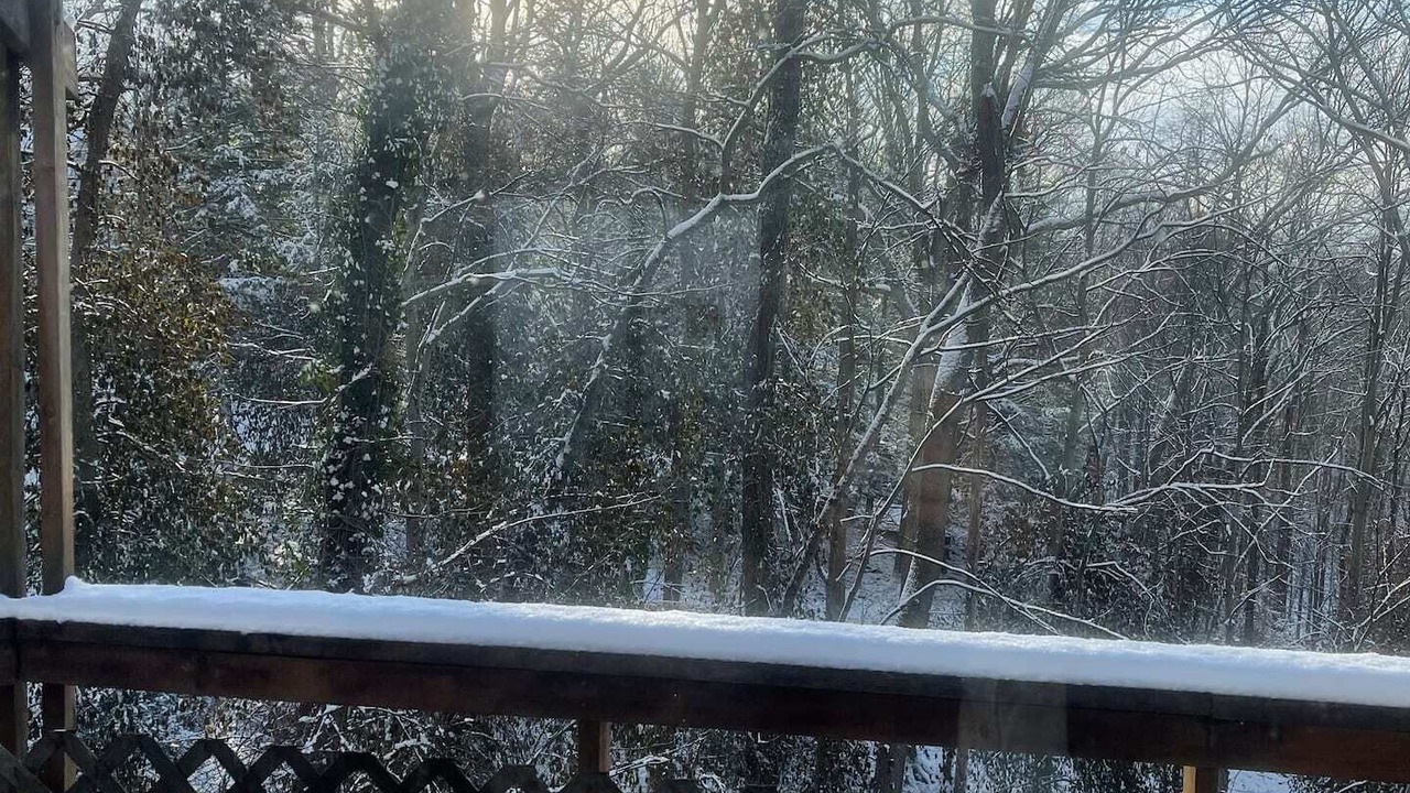 Photo of Outdoor in Charleston
