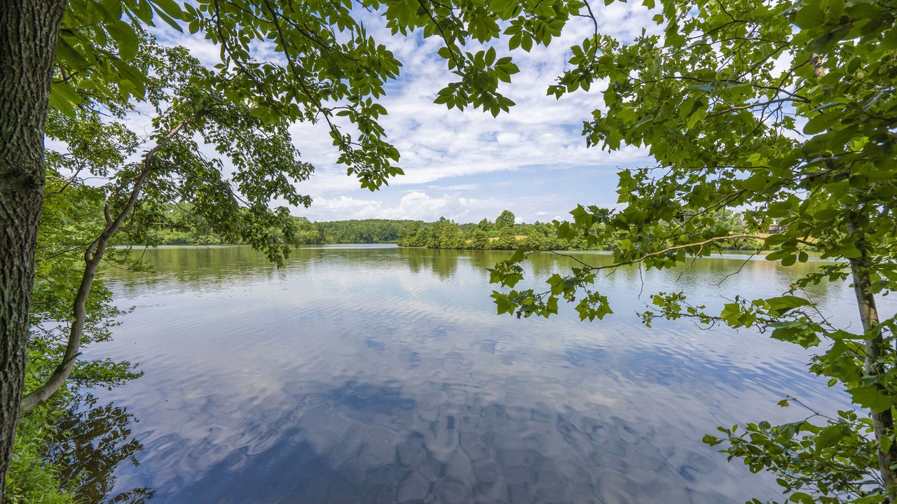 Photo of Outdoor in West Fairfax