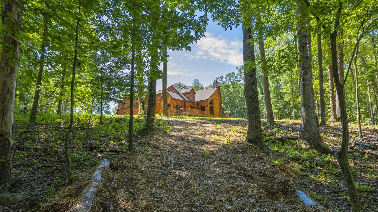 Photo of Outdoor in West Fairfax