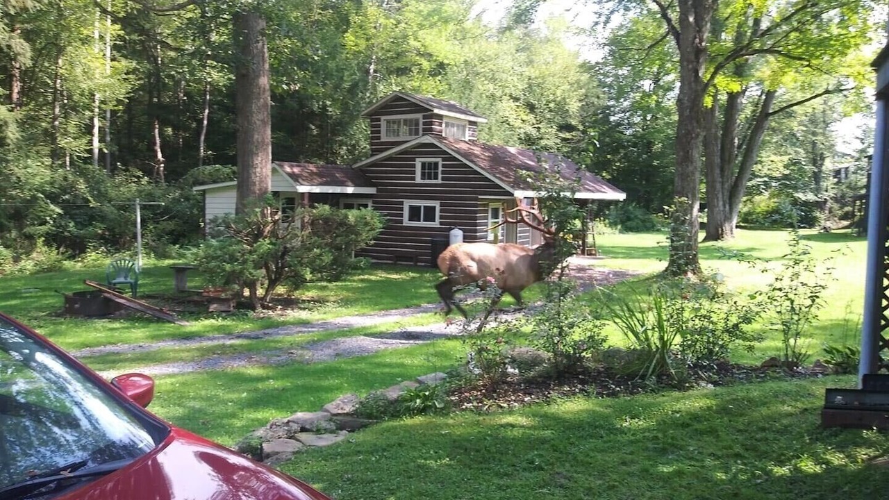 Photo of Outdoor in Byrnedale