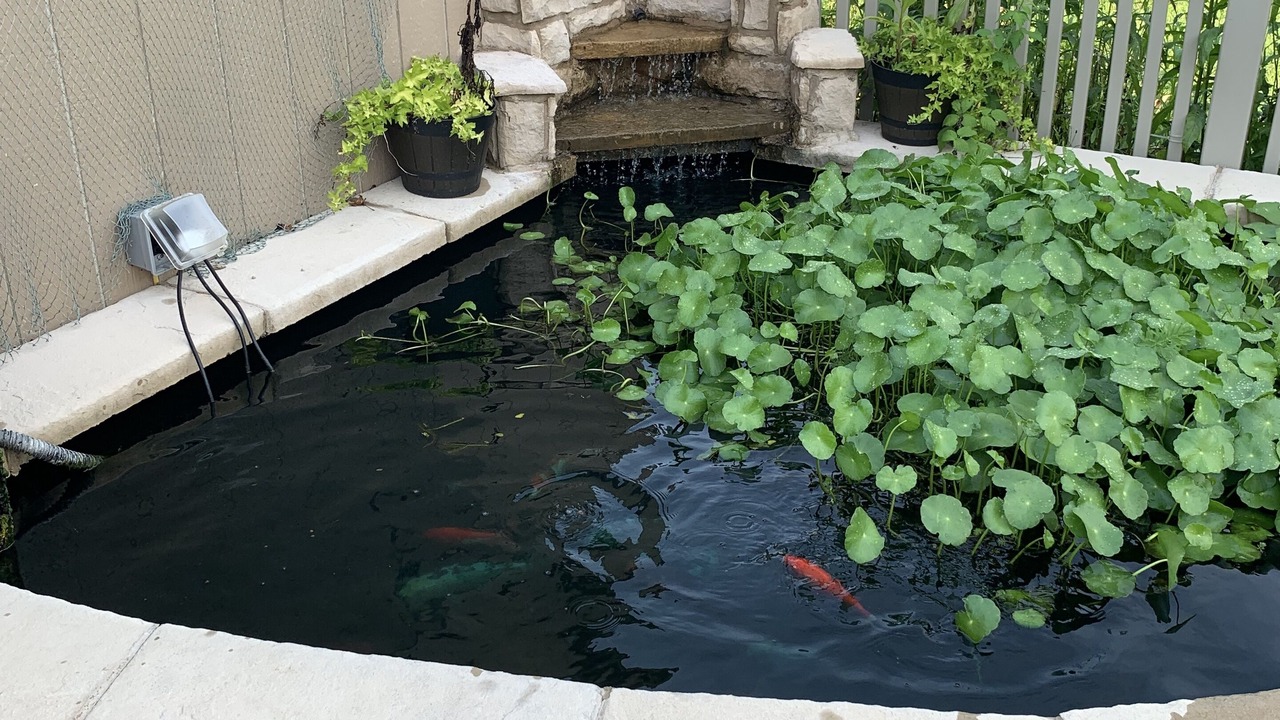 Photo of Outdoor in South Webster