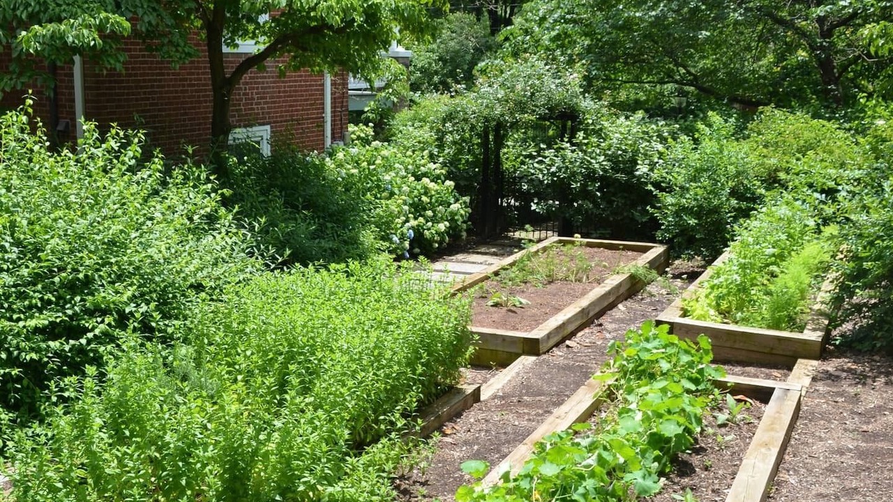 Photo of Outdoor in Charlottesville