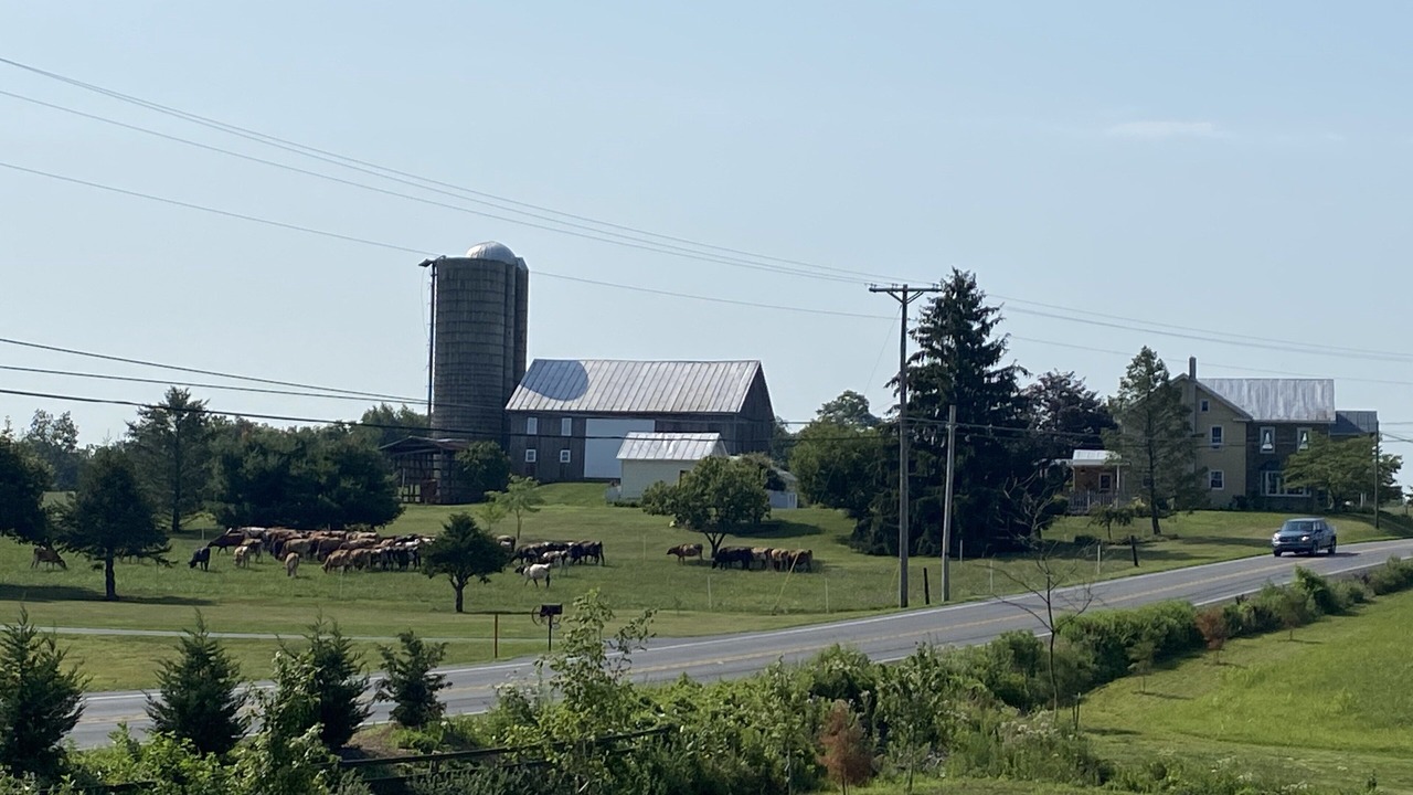 Photo of Outdoor in Newville