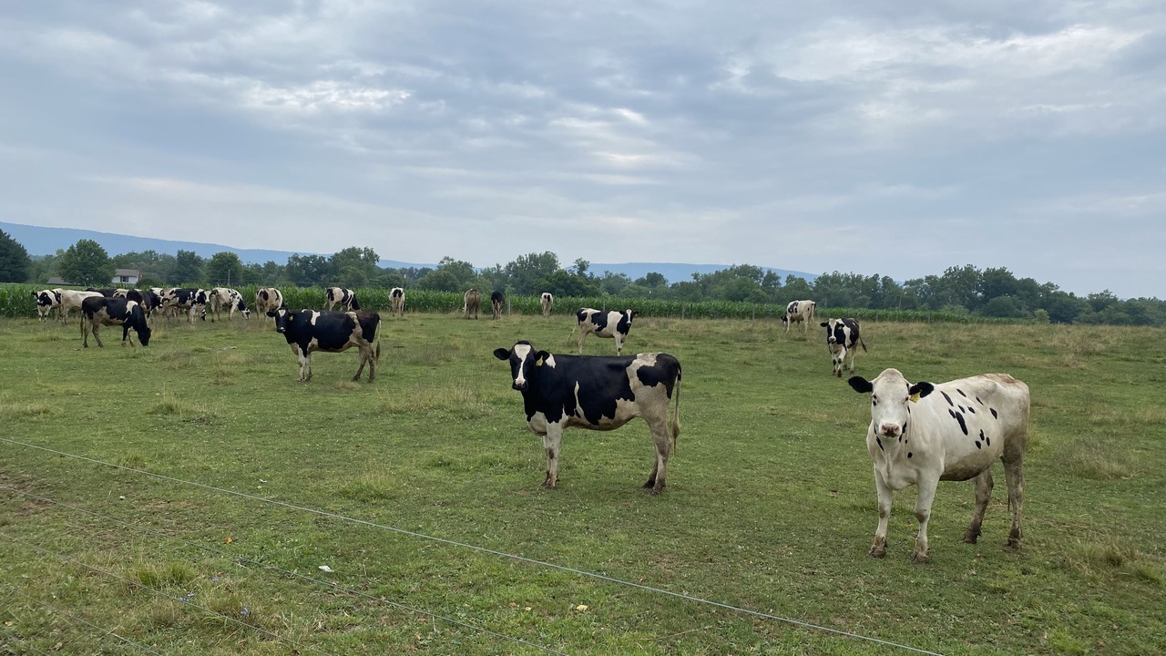 Photo of Outdoor in Newville