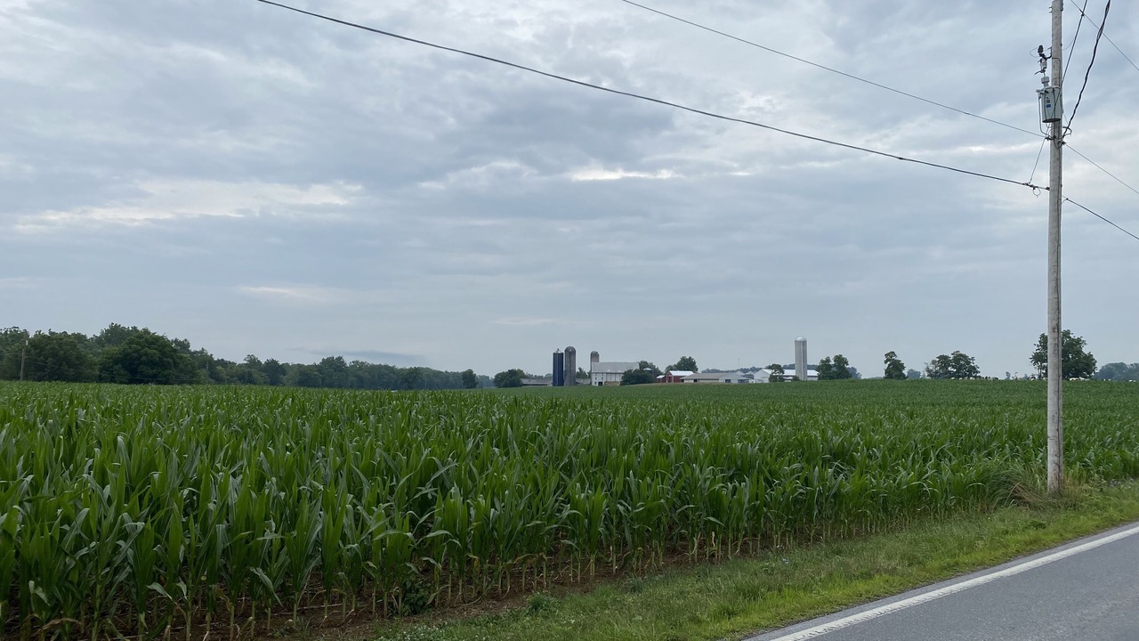 Photo of Others in Newville