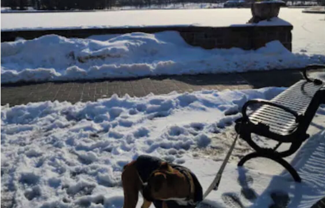 Photo of Outdoor in North Bergen