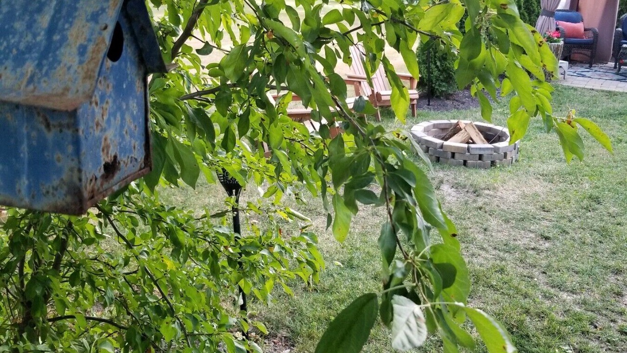 Photo of Outdoor in Mentor