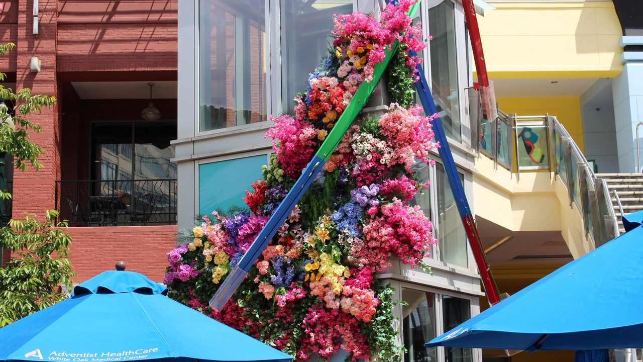 Photo of Outdoor in Silver Spring