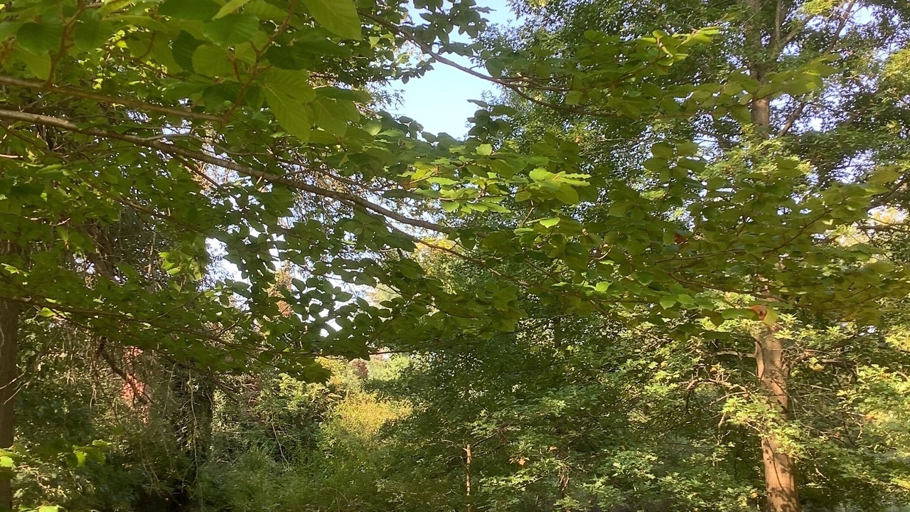 Photo of Outdoor in Mercer