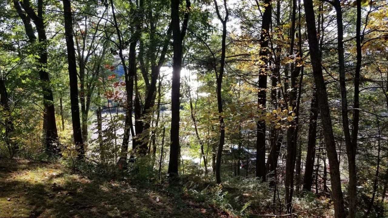 Photo of Outdoor in Tafton