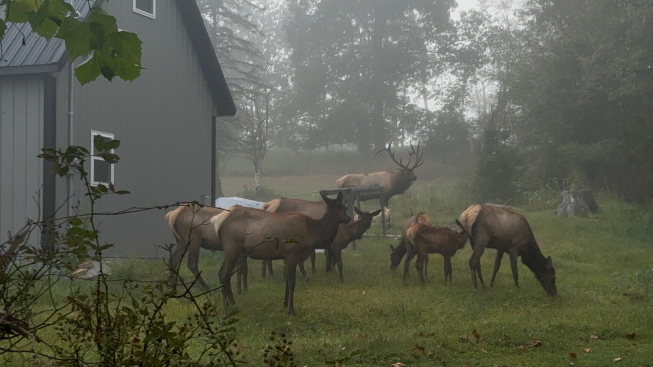 Photo of Others in Benezette