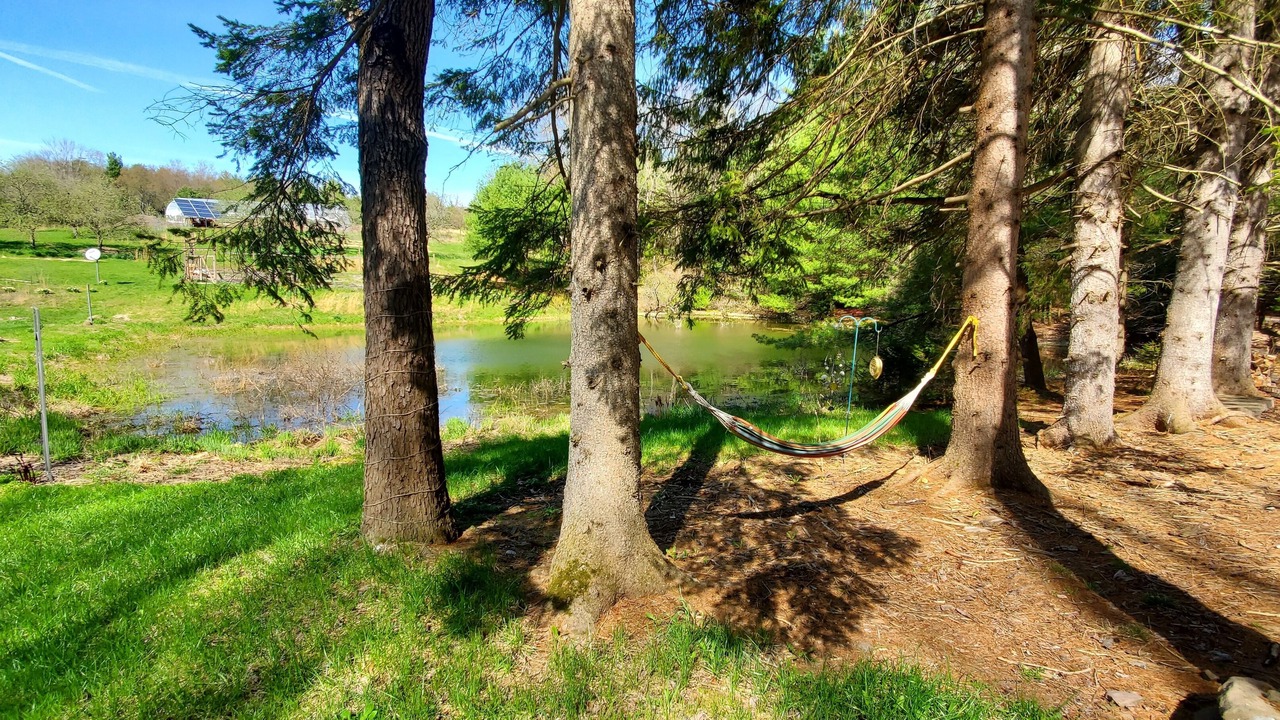 Photo of Outdoor in Spring Mills