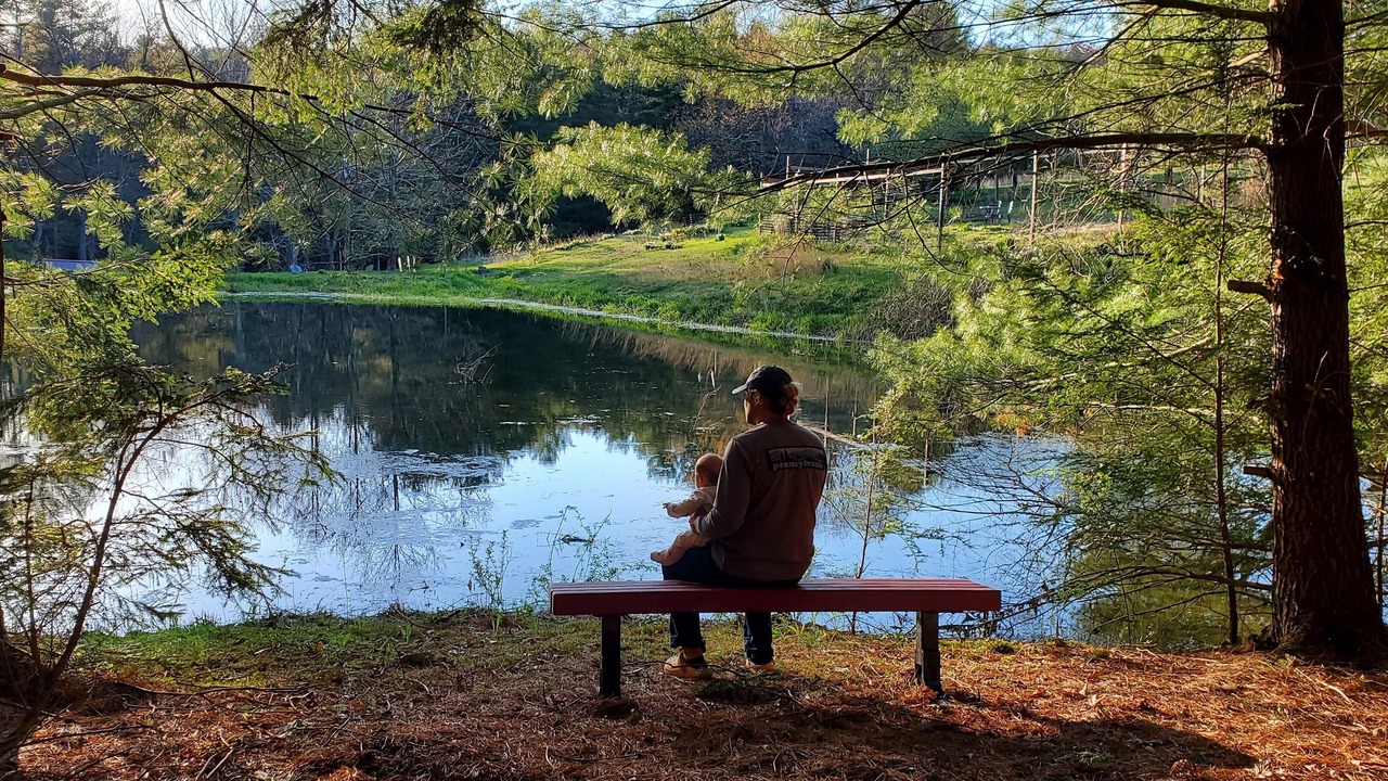 Photo of Others in Spring Mills