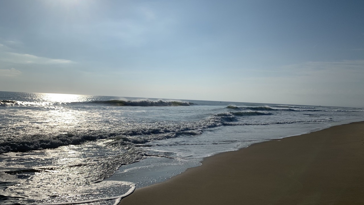 Photo of Others in North Cape May