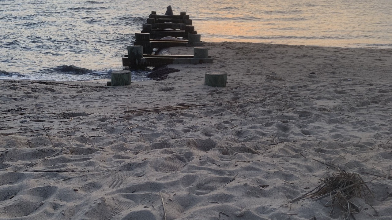 Photo of Others in North Cape May
