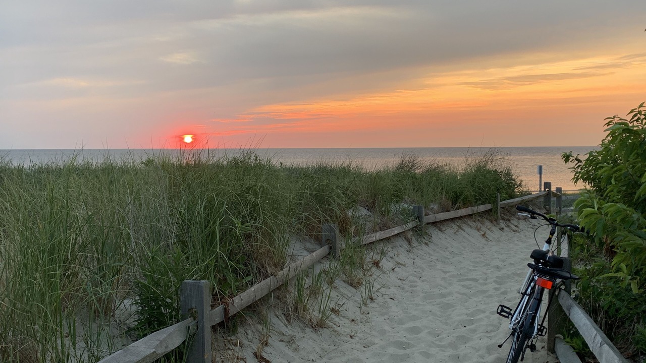 Photo of Others in North Cape May
