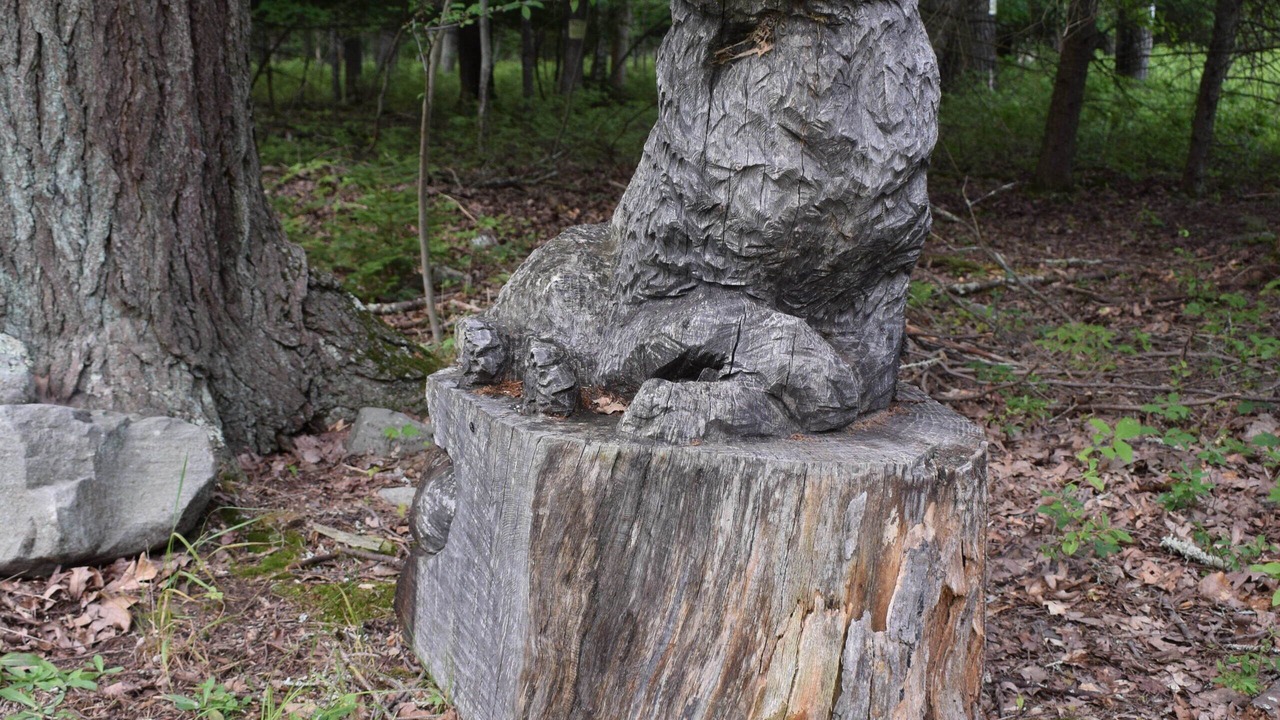 Photo of Outdoor in Canadensis