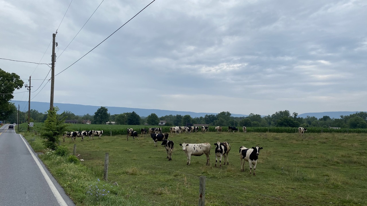 Photo of Outdoor in Newville