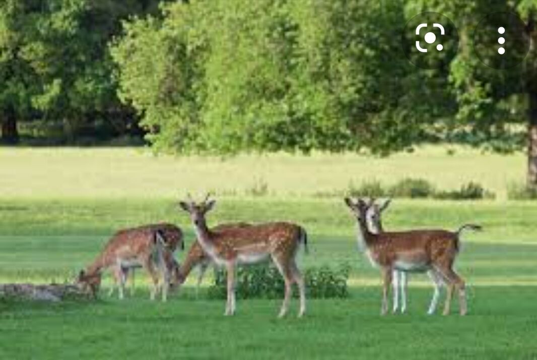 Photo of Others in Darnestown