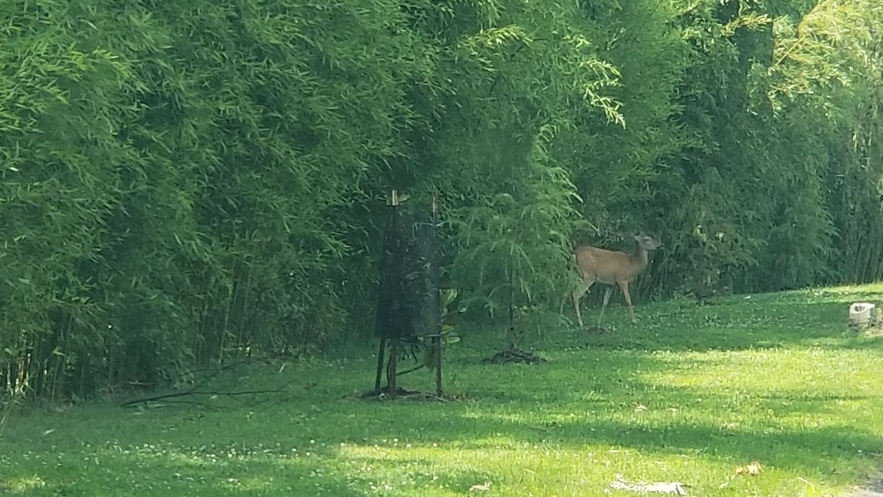 Photo of Others in Darnestown