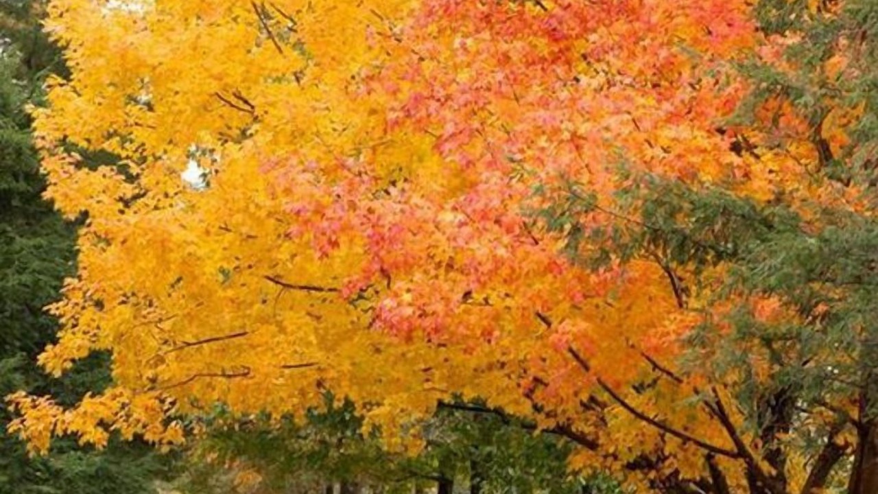 Photo of Outdoor in Mount Joy