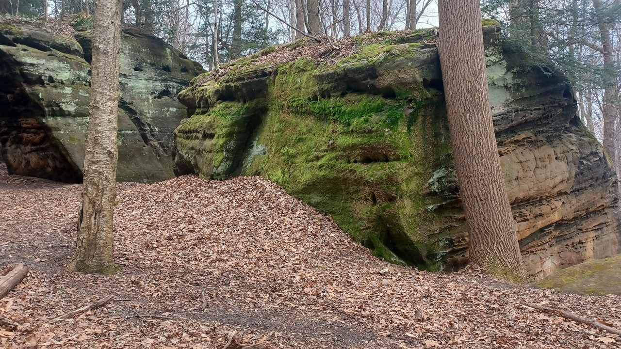 Photo of Others in Cuyahoga Falls
