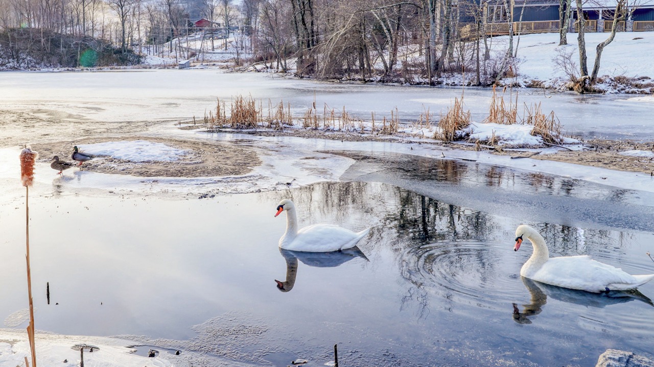 Photo of Others in Tannersville