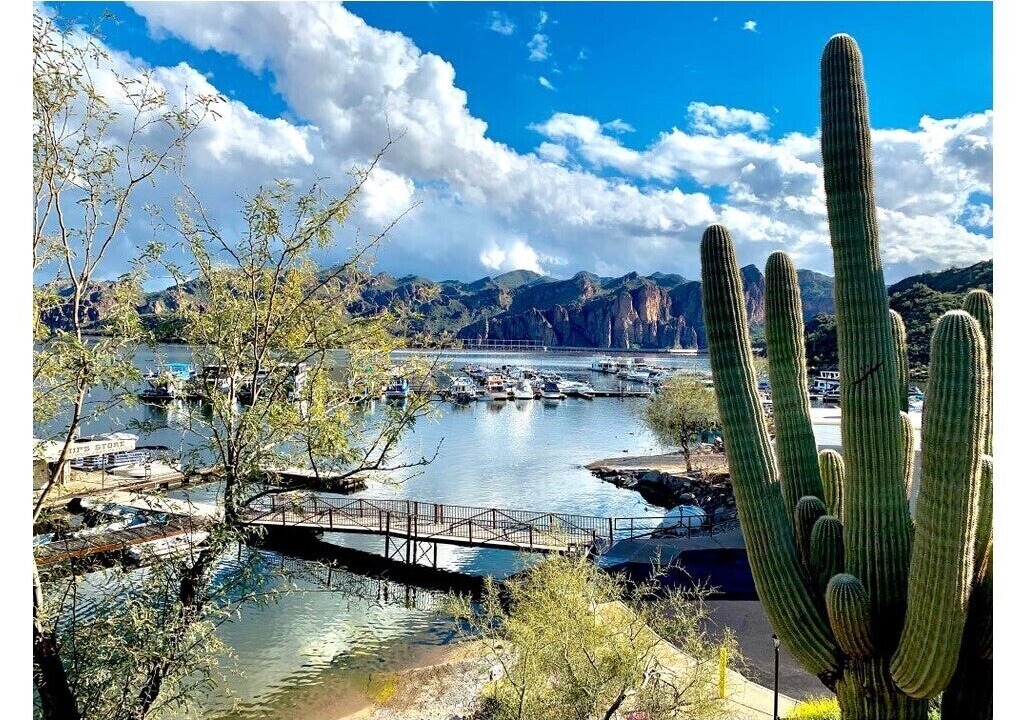 Photo of Outdoor in East Mesa