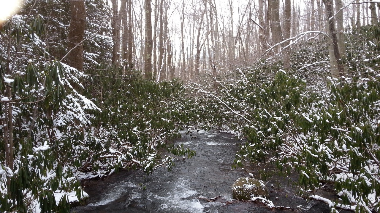 Photo of Others in Jones Mills