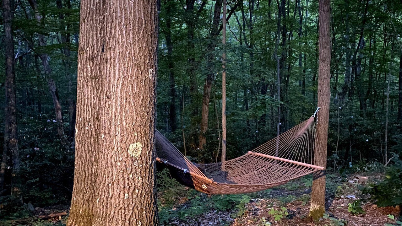 Photo of Others in Jones Mills