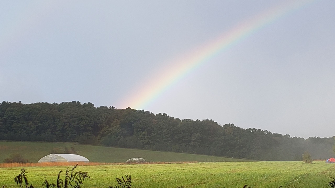 Photo of Outdoor in Jones Mills
