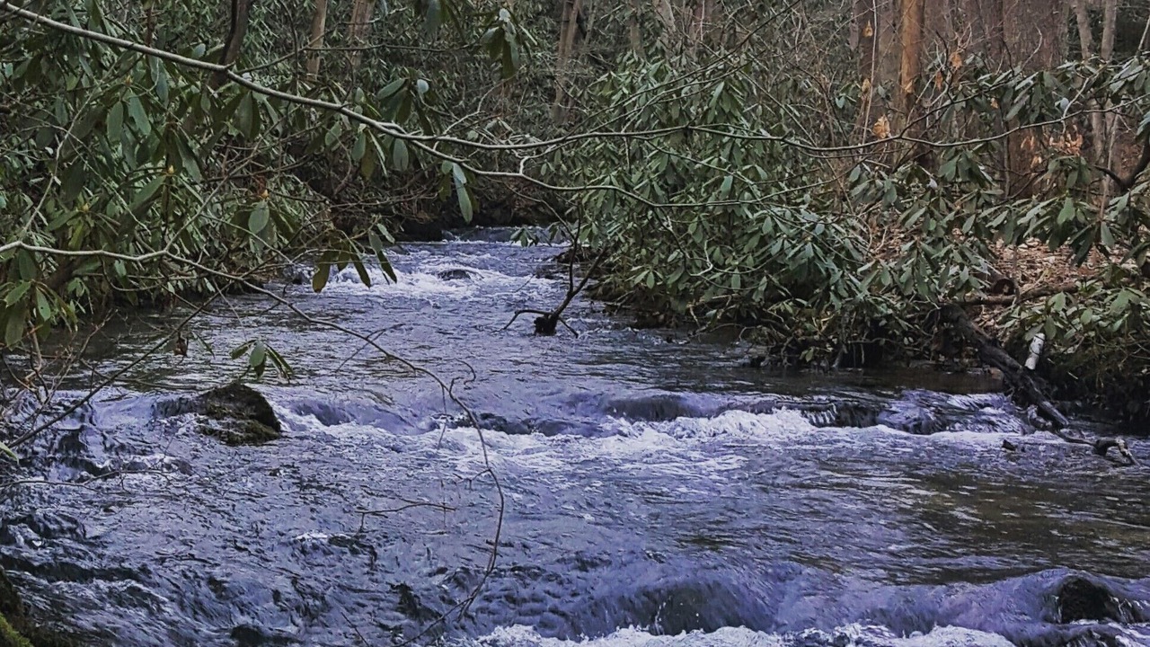 Photo of Others in Jones Mills
