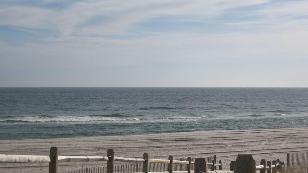 Photo of Others in Normandy Beach
