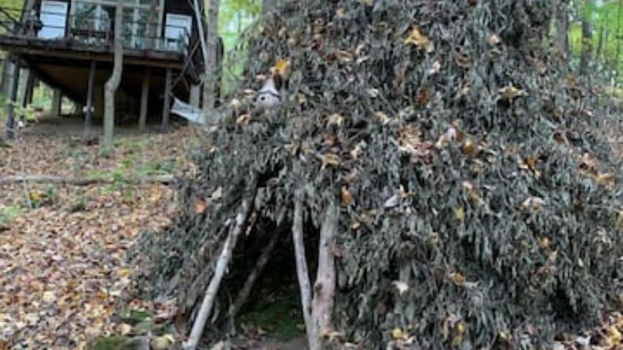 Photo of Outdoor in Rockbridge