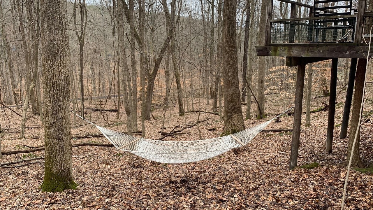 Photo of Outdoor in Rockbridge