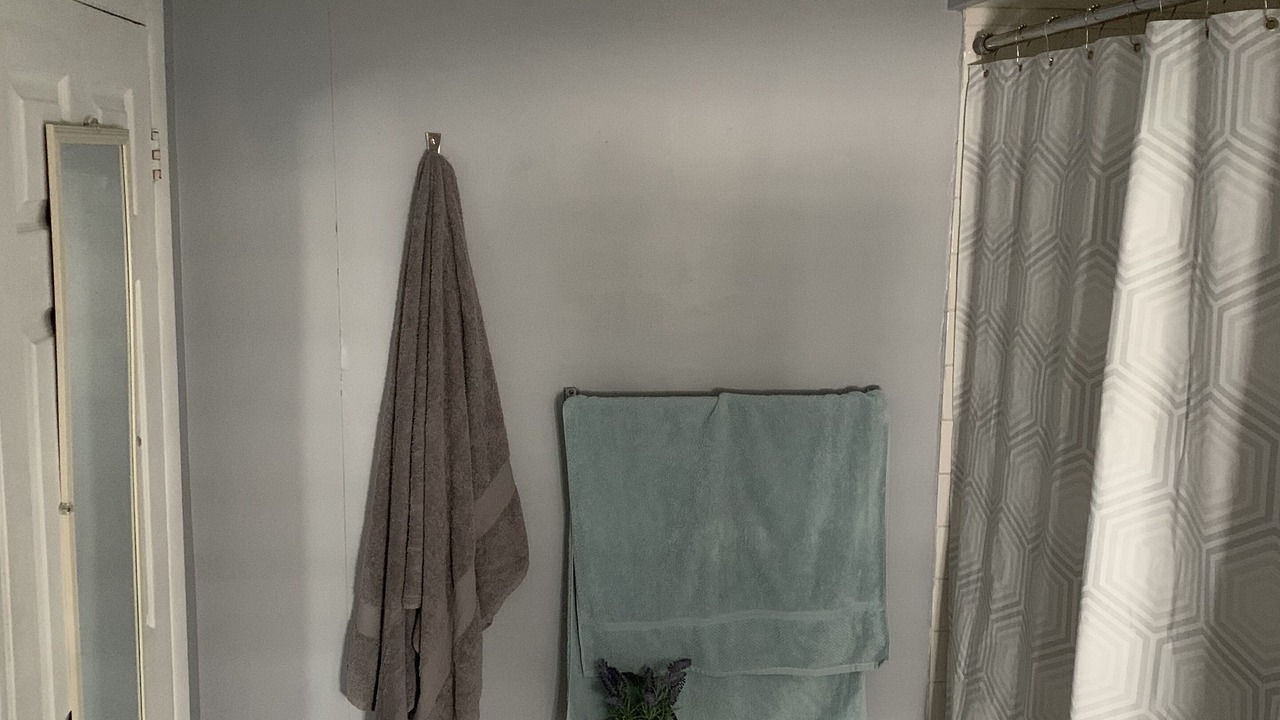 Photo of Bathroom in Hancocks Bridge
