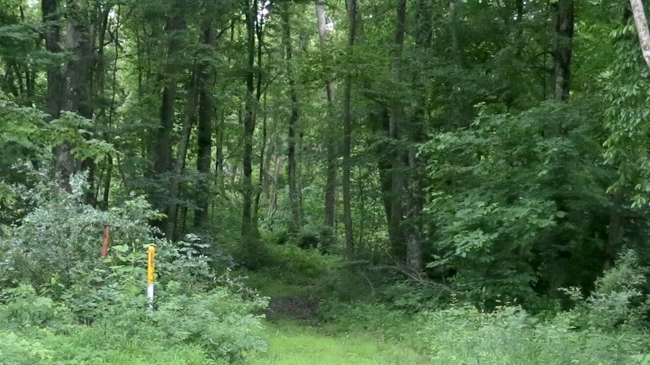 Photo of Outdoor in Nelsonville