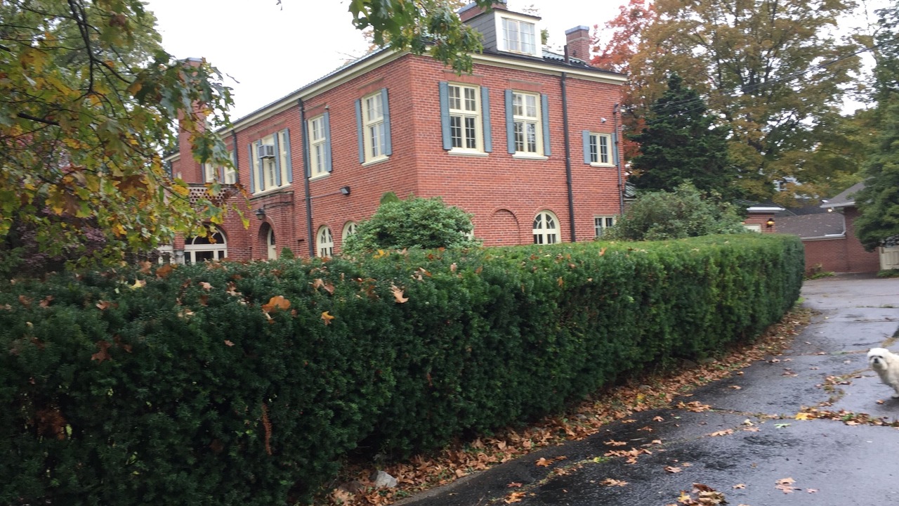 Photo of Outdoor in Jamestown
