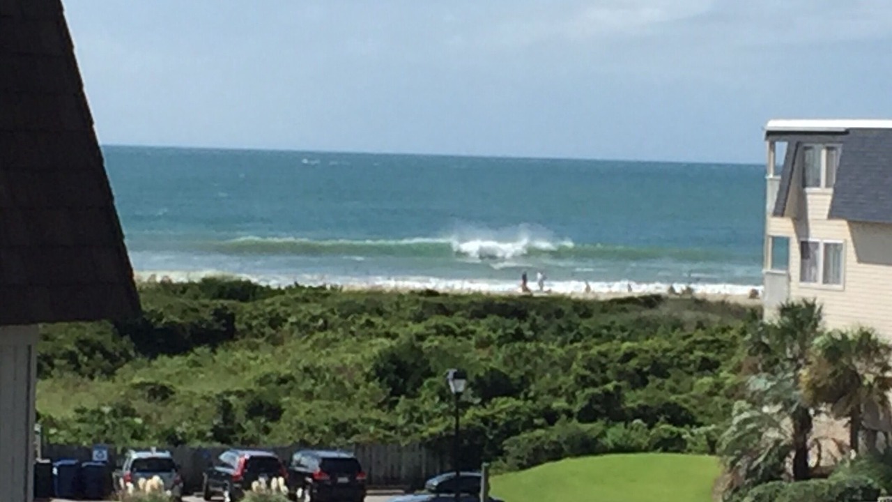 Photo of Others in Morehead City