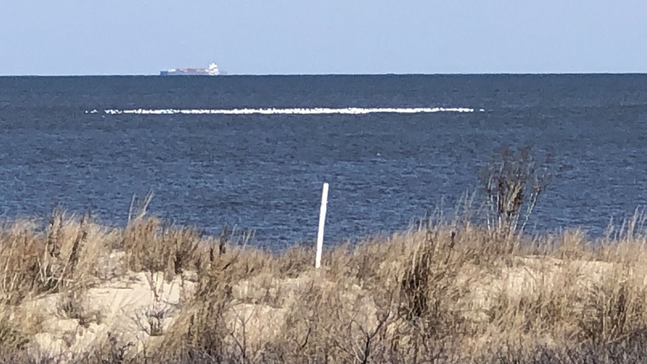 Photo of Others in Broadkill Beach