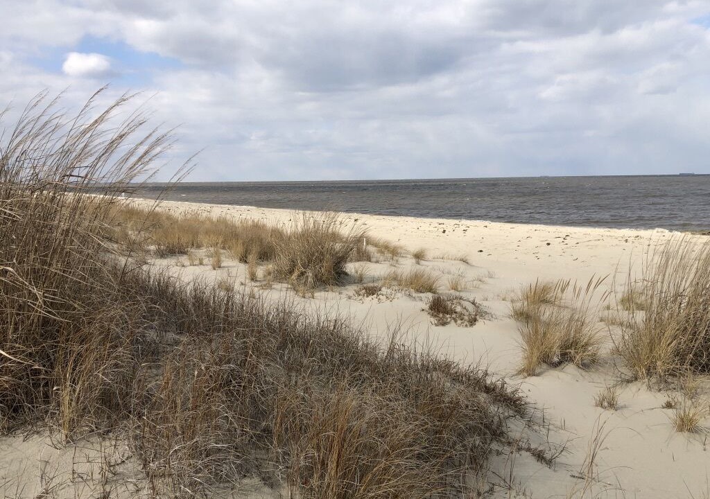 Photo of Others in Broadkill Beach