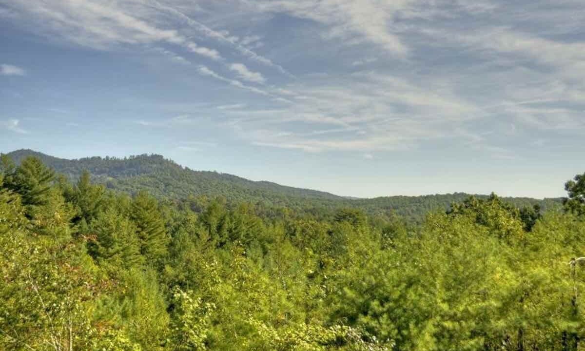 Photo of Others in Mineral Bluff