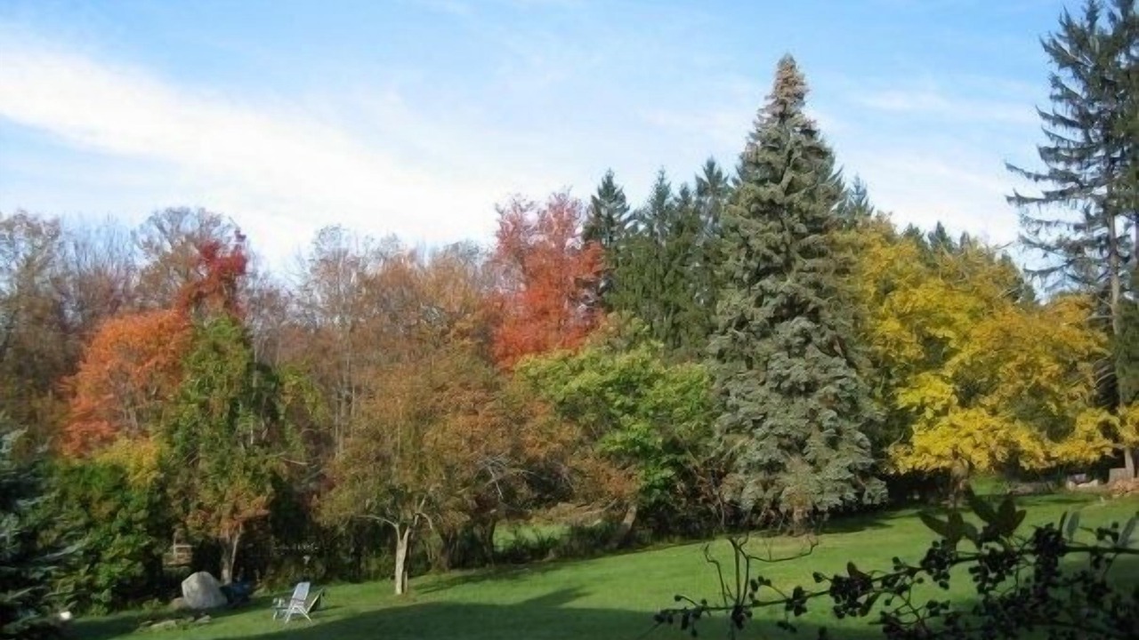 Photo of Outdoor in Honesdale