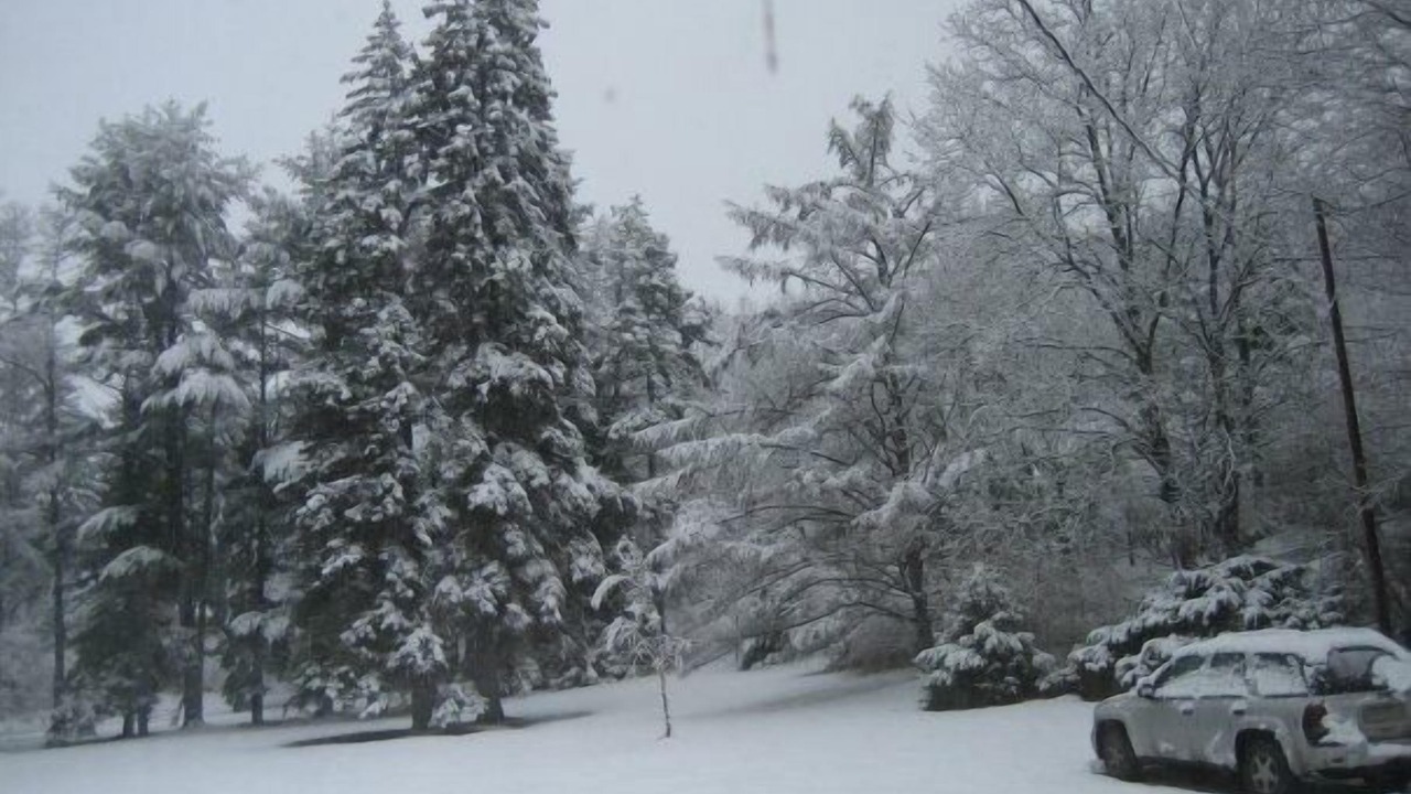 Photo of Others in Honesdale